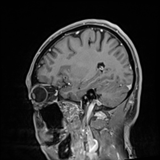 Click on the Serie image to view the images of VILLANUEVA, WILLIAM A.